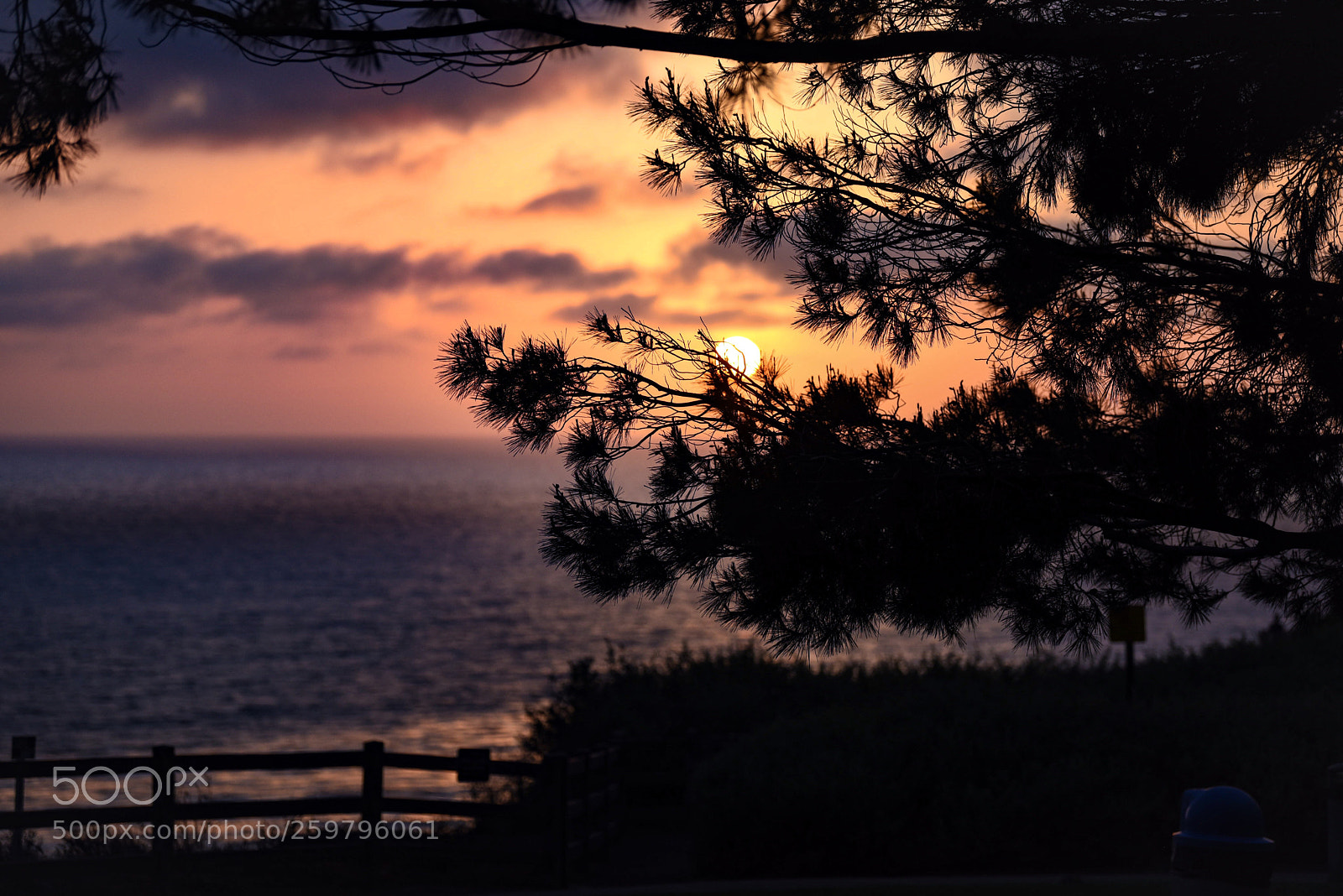 Nikon D750 sample photo. Untitled photography