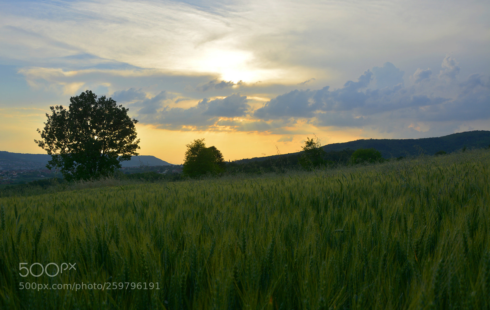 Nikon D7100 sample photo. S photography