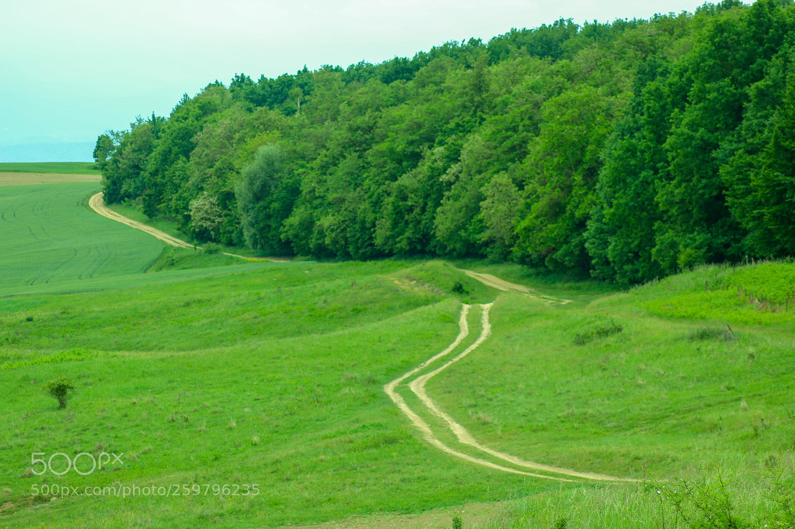 Canon EOS 70D sample photo. Untitled photography