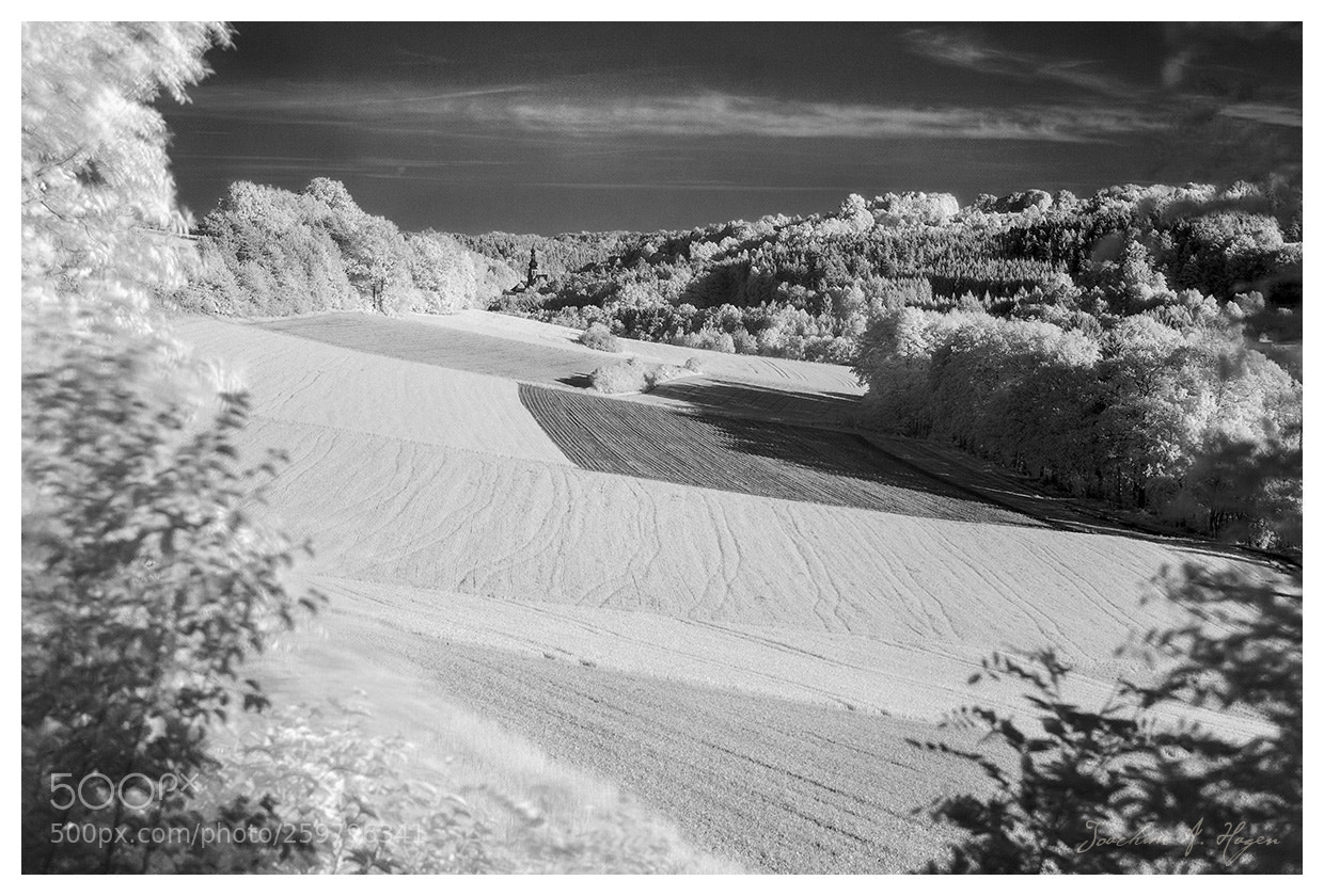 Nikon D90 sample photo. Koednitz (infrared) photography