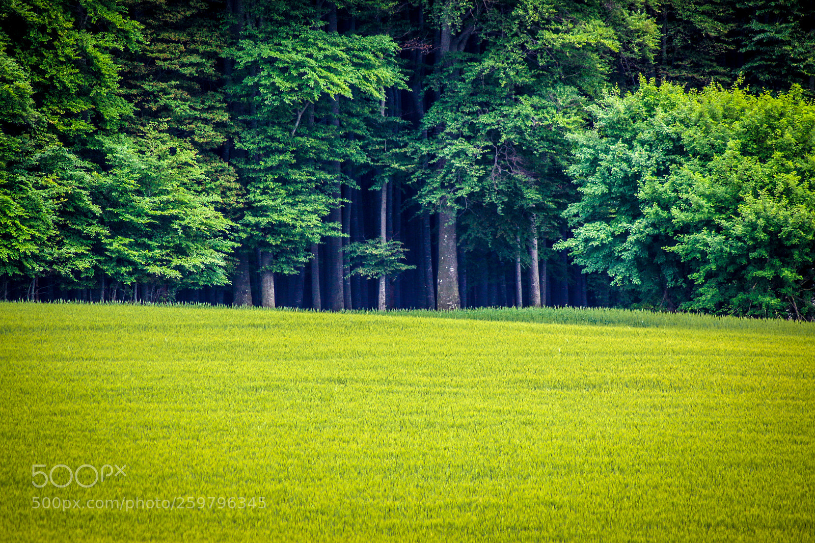 Canon EOS 70D sample photo. Untitled photography