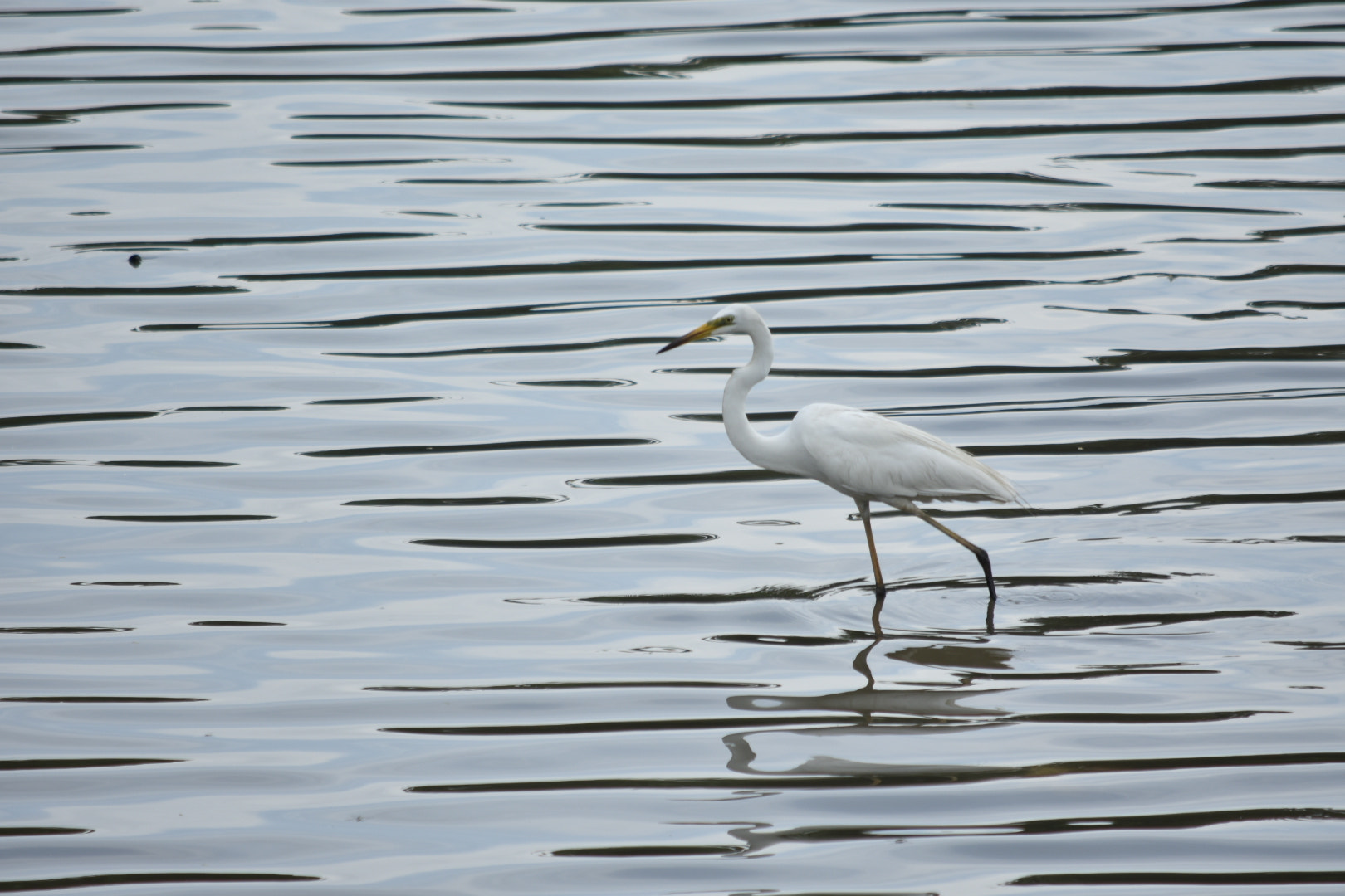 Nikon D3400 sample photo