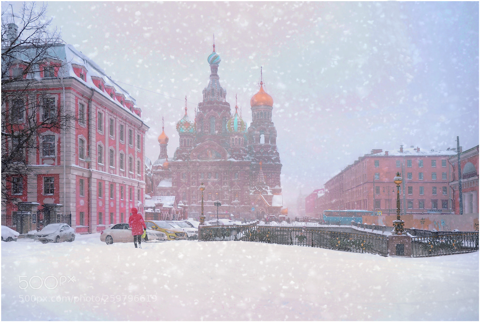 Nikon D700 sample photo. Снежный Петербург. photography