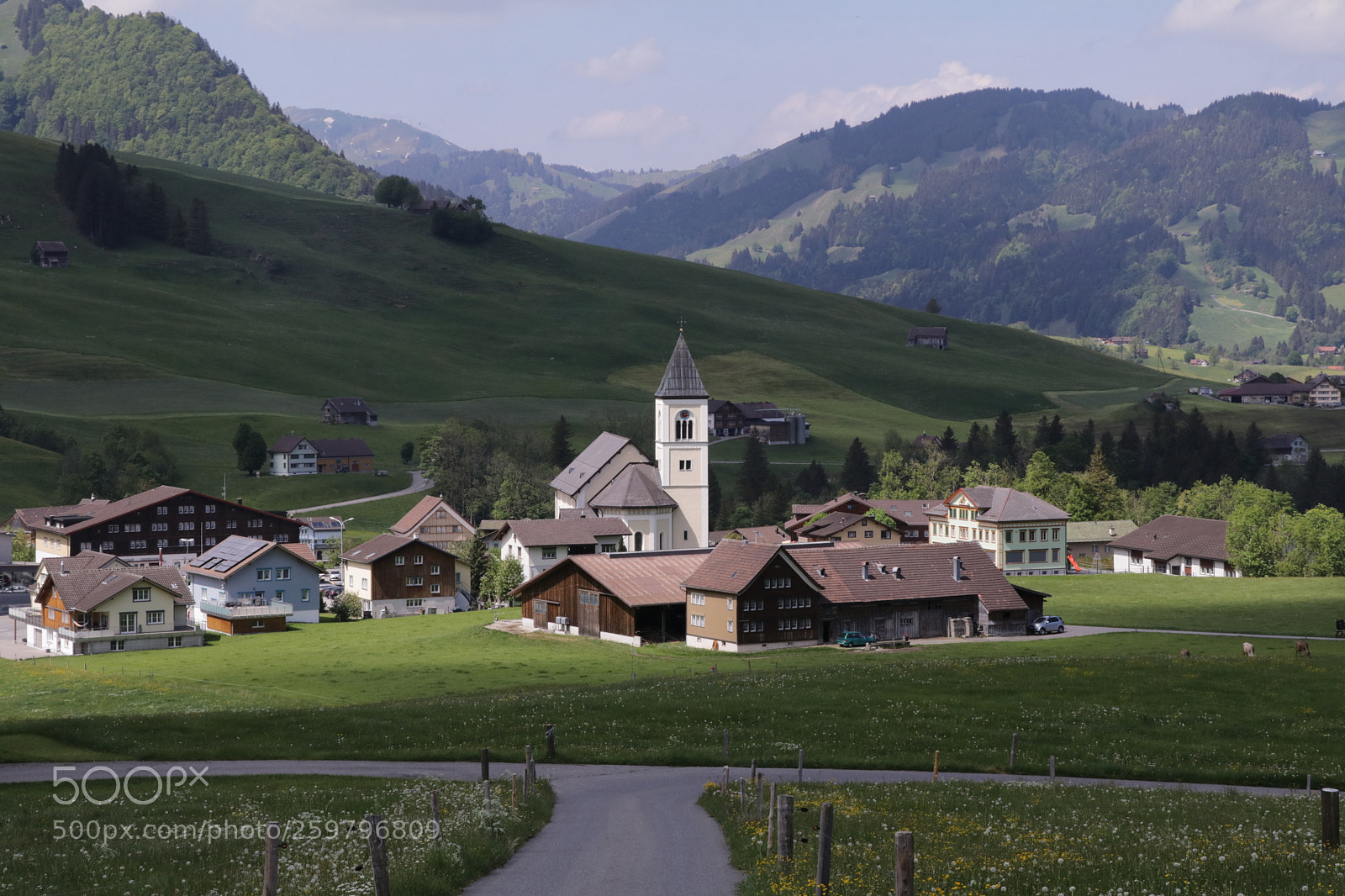 Canon EOS 80D sample photo. Rüte ai photography