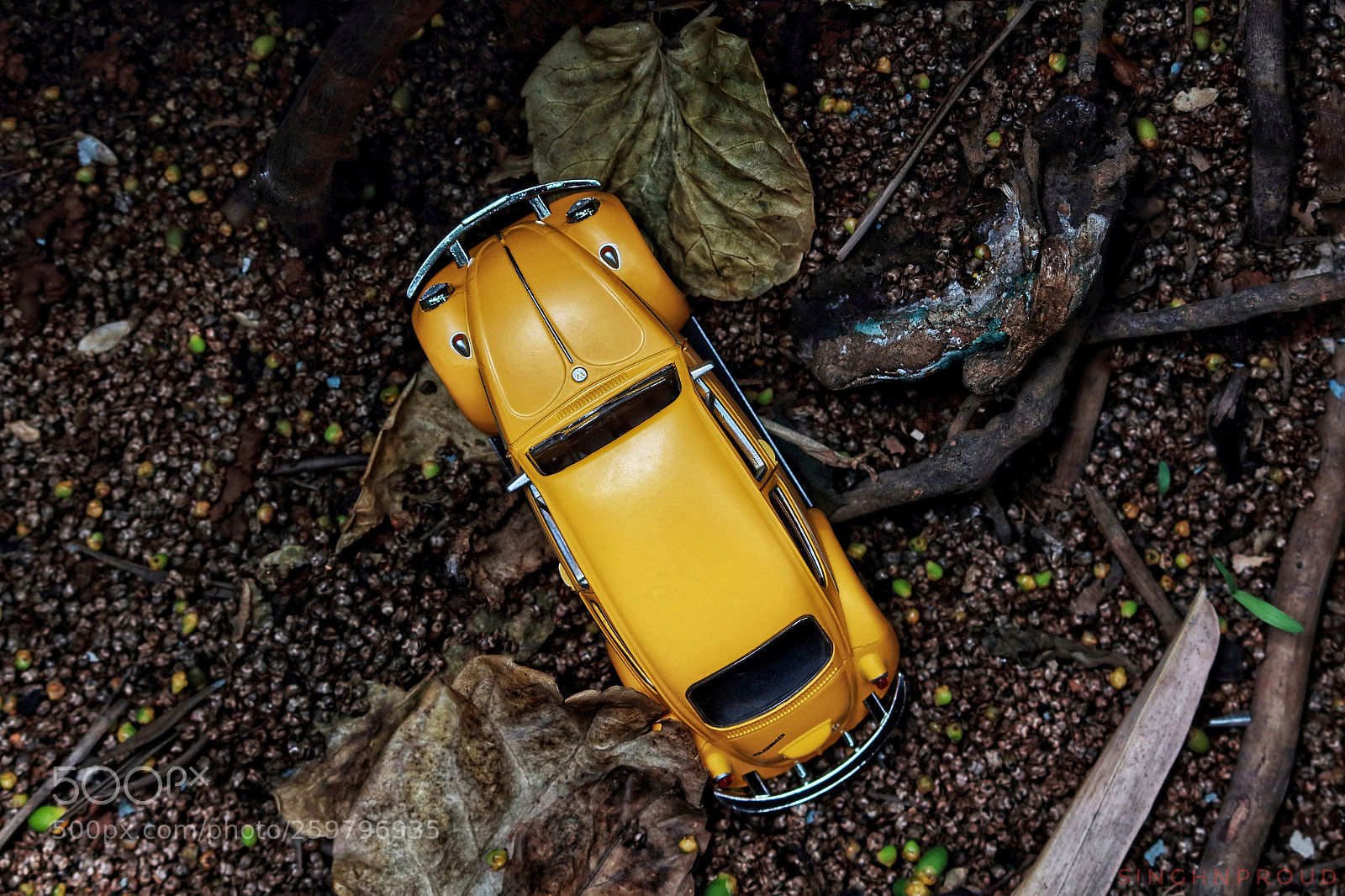 Canon EOS 1200D (EOS Rebel T5 / EOS Kiss X70 / EOS Hi) sample photo. Beetle in jungle photography