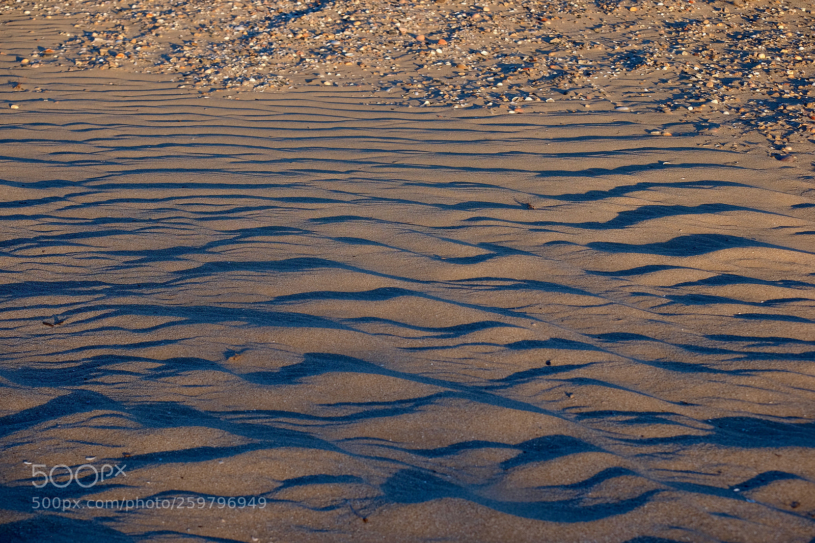 Fujifilm X-T10 sample photo. A question of scale photography