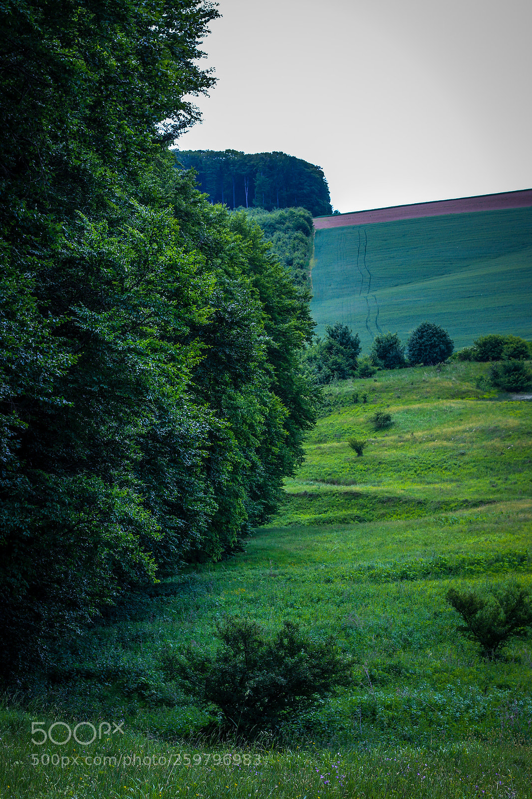 Canon EOS 70D sample photo. Untitled photography