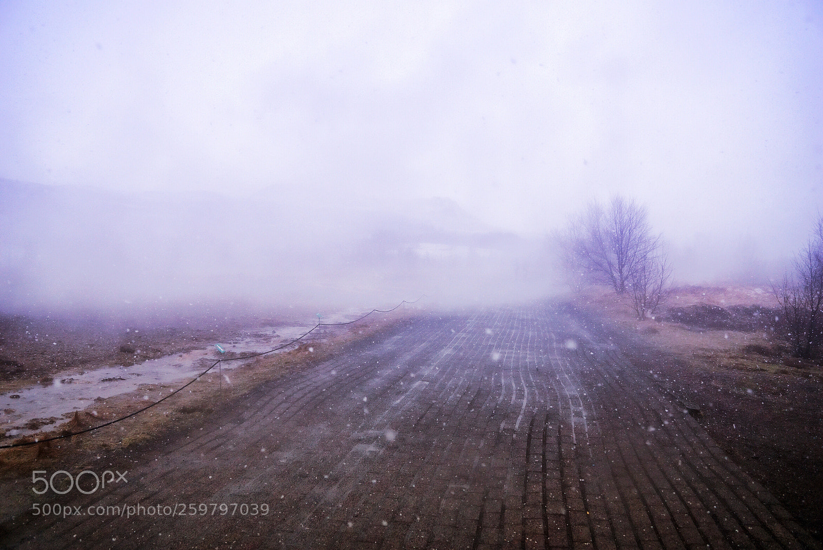 Sony a6000 sample photo. Misty leading road photography