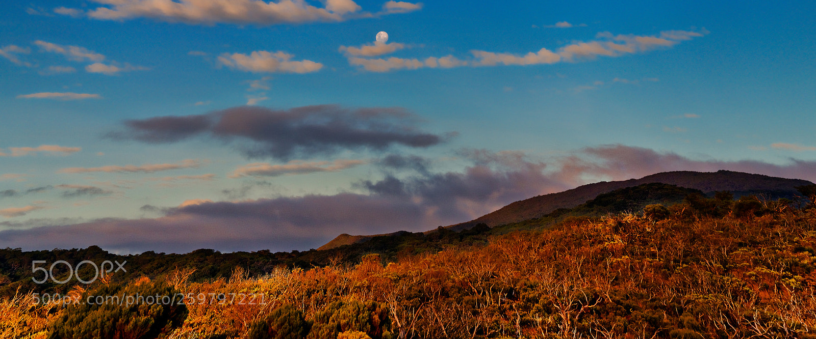 Nikon D7000 sample photo. Sunset on the burnt photography