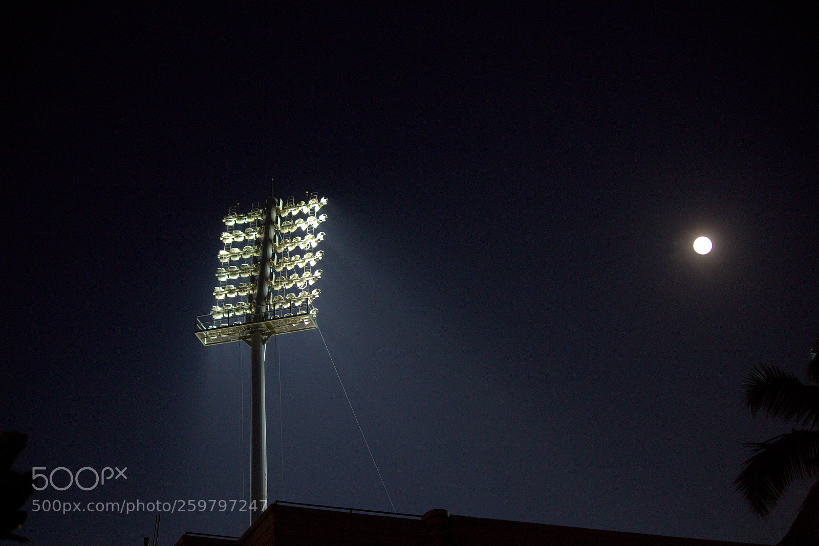 Canon EF-S 55-250mm F4-5.6 IS II sample photo. Untitled photography