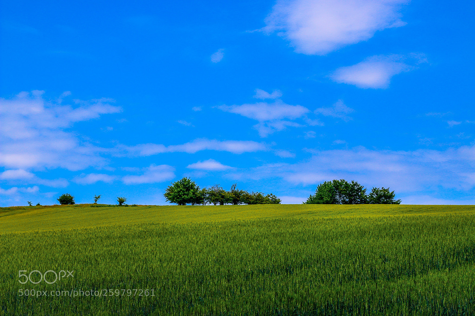 Canon EOS 70D sample photo. Untitled photography