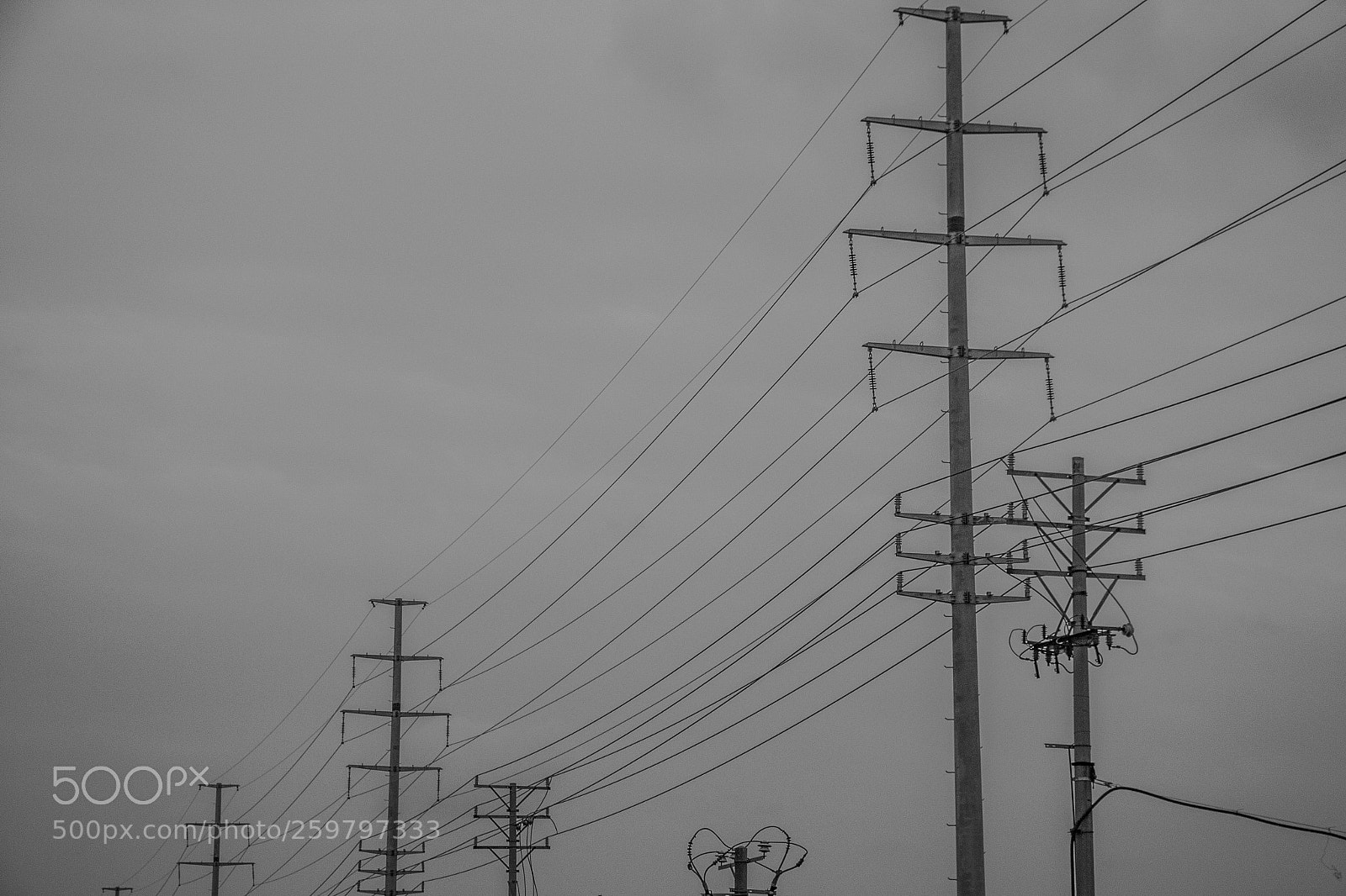 Canon EOS 70D sample photo. Untitled photography