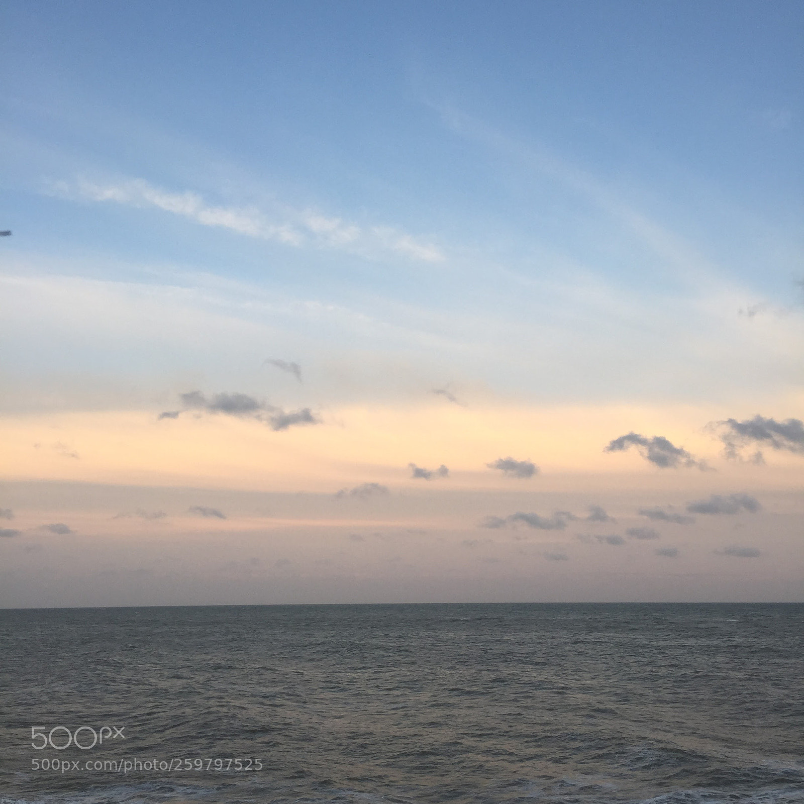 Apple iPhone 6 sample photo. Img photography