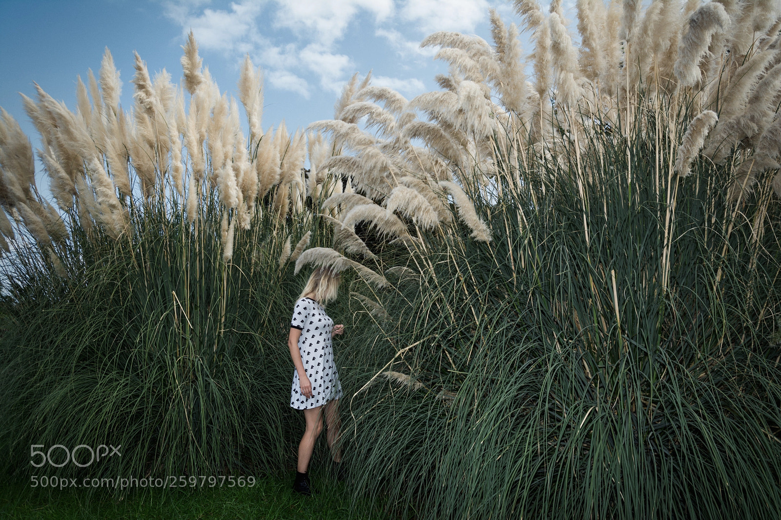 Nikon D7100 sample photo. Hiding game photography