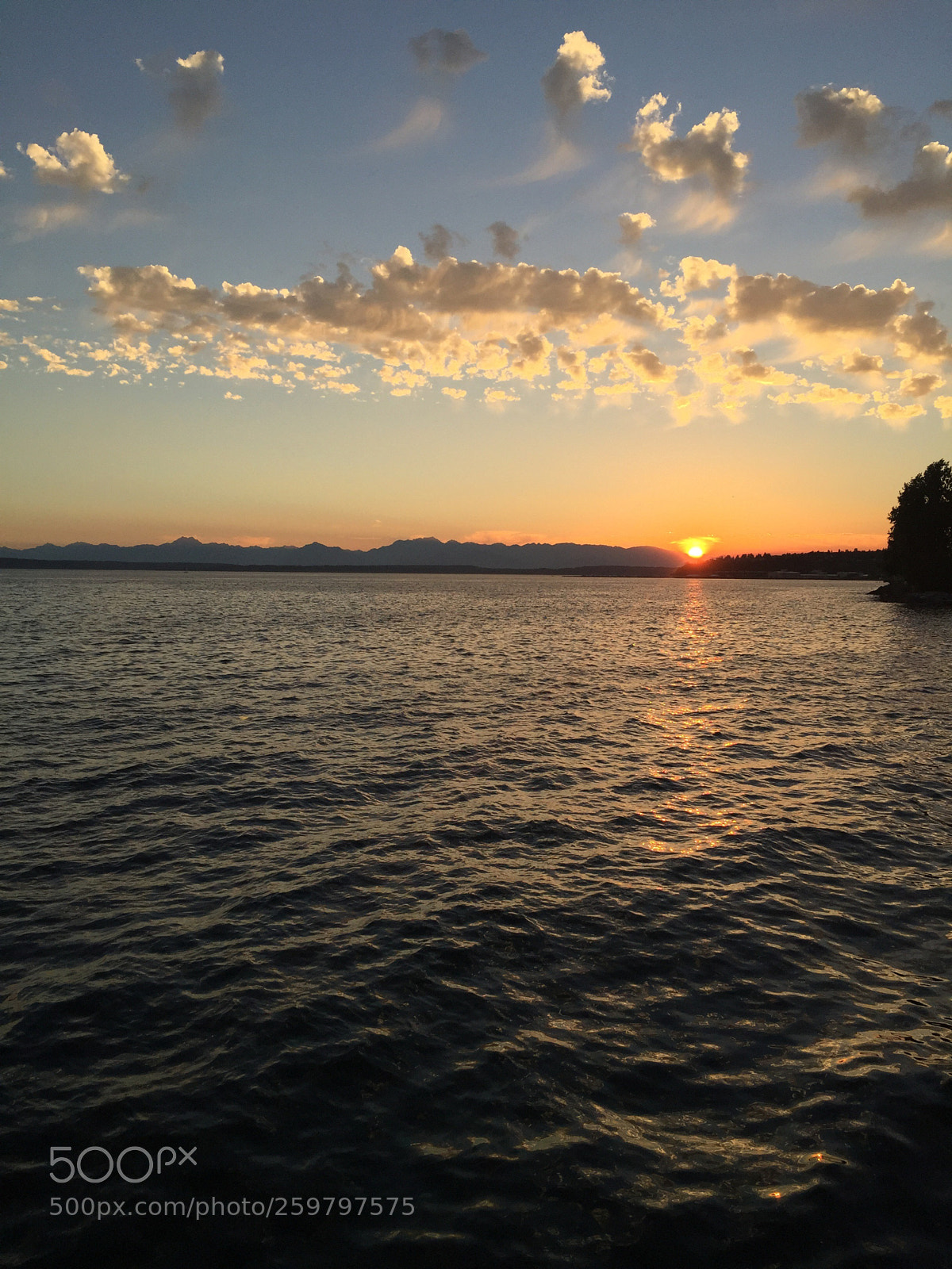 Apple iPhone 6 sample photo. Sunset at the park photography