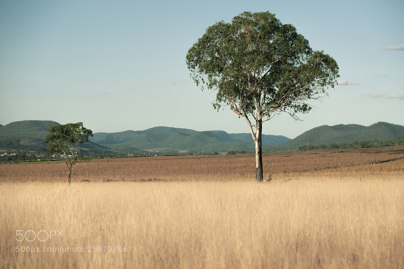 Nikon D800 sample photo. Country agricultural and farming photography