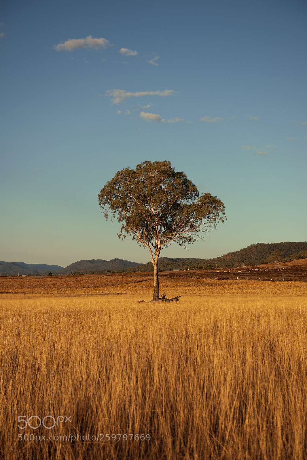 Nikon D800 sample photo. Country agricultural and farming photography