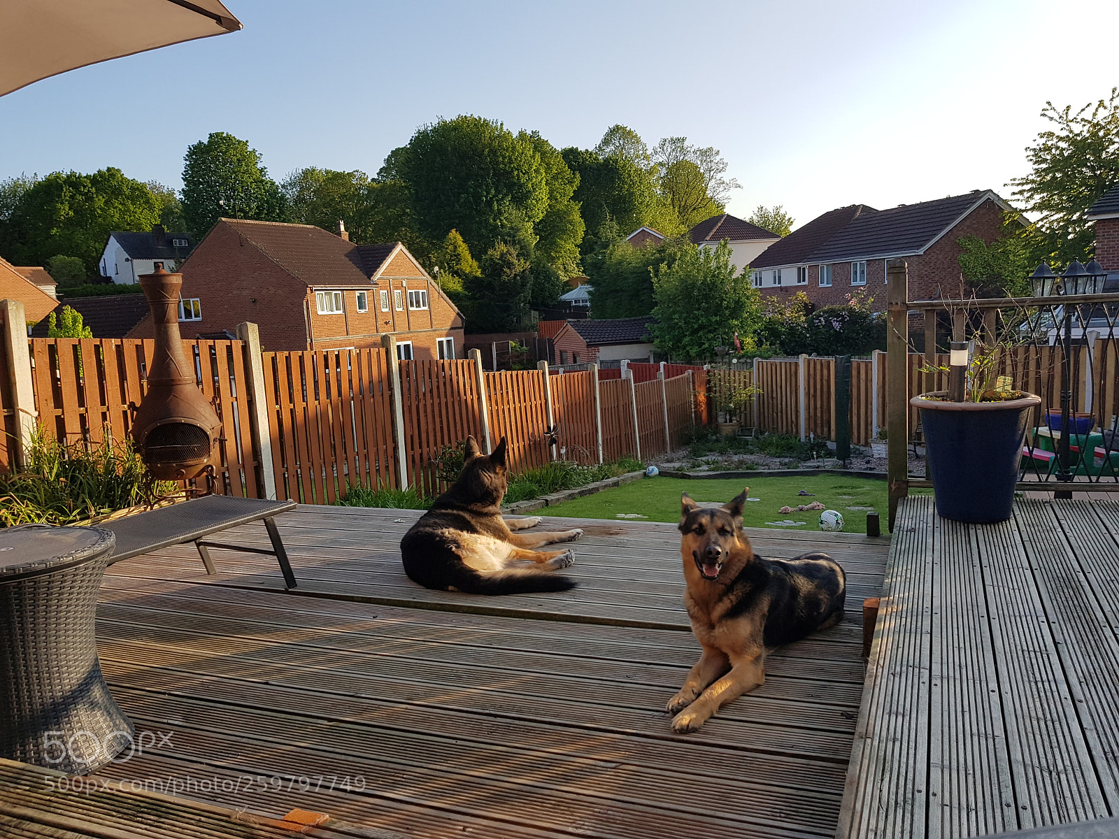 Samsung Galaxy S8 sample photo. Untitled photography