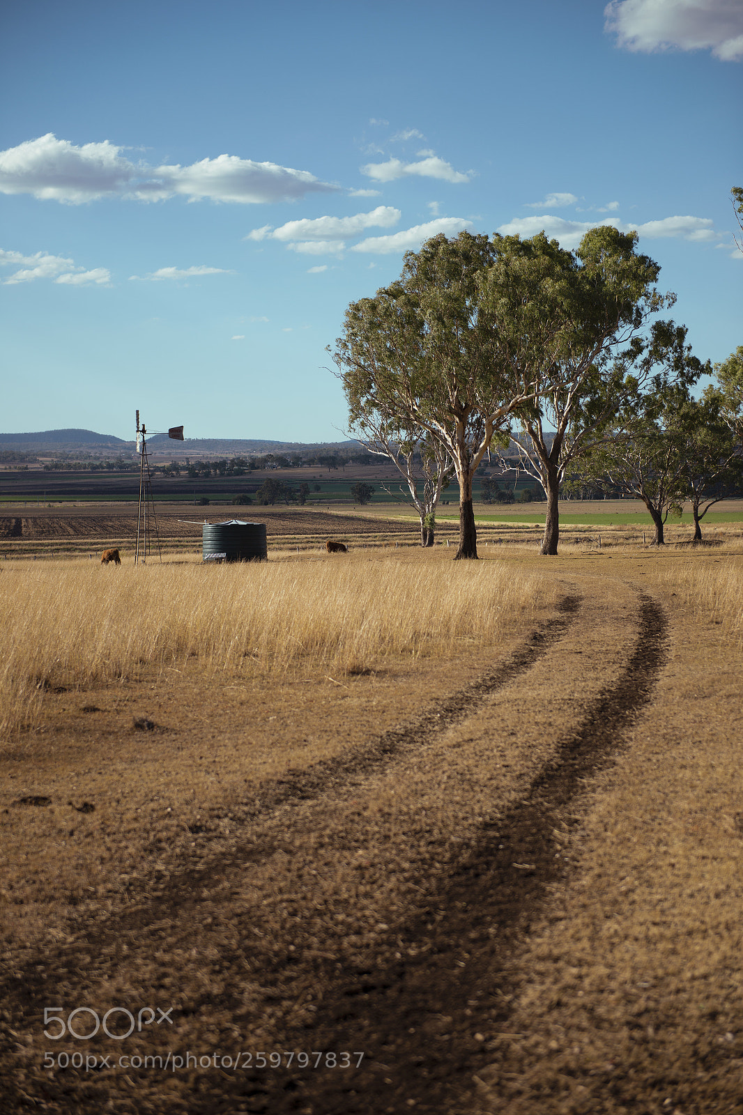 Nikon D800 sample photo. Country agricultural and farming photography
