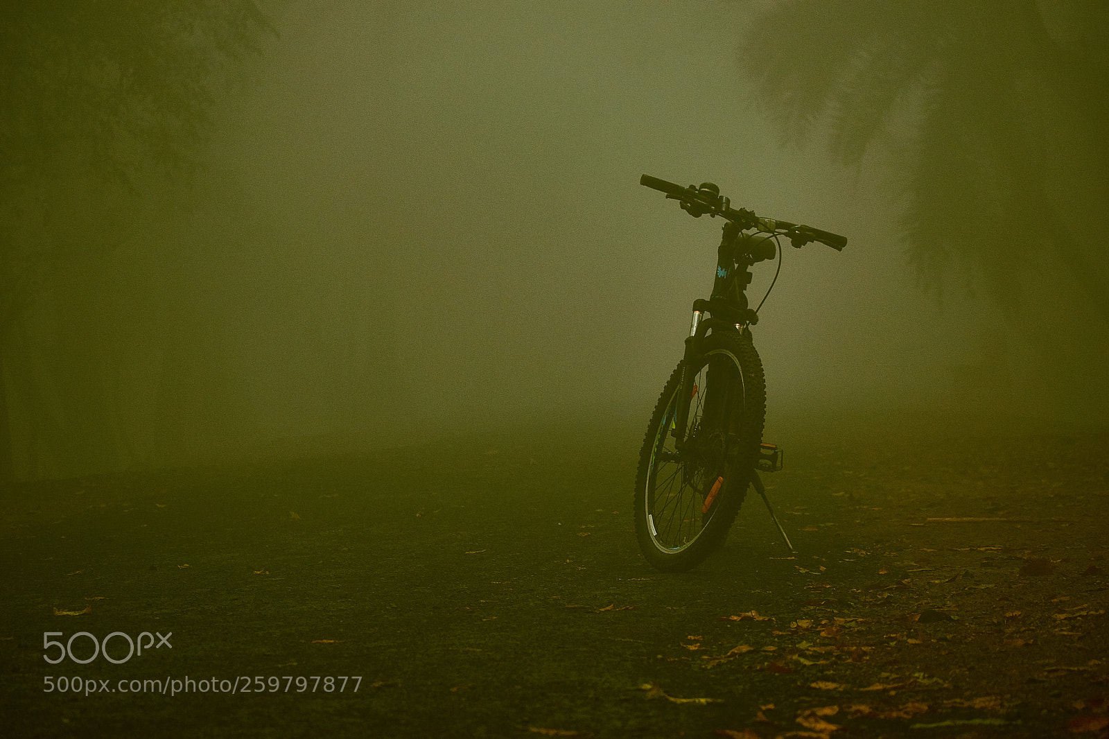 Nikon D5300 sample photo. Lonely traveller photography