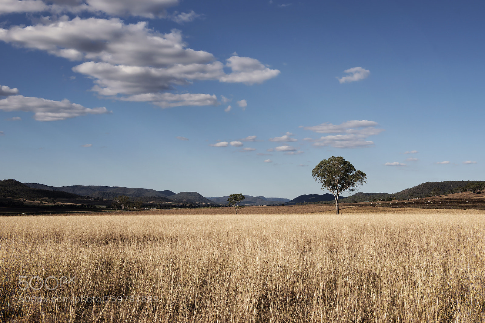 Nikon D800 sample photo. Country agricultural and farming photography