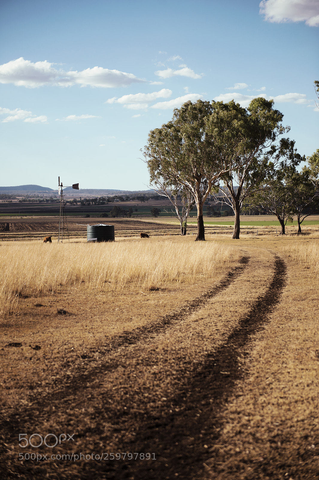 Nikon D800 sample photo. Country agricultural and farming photography