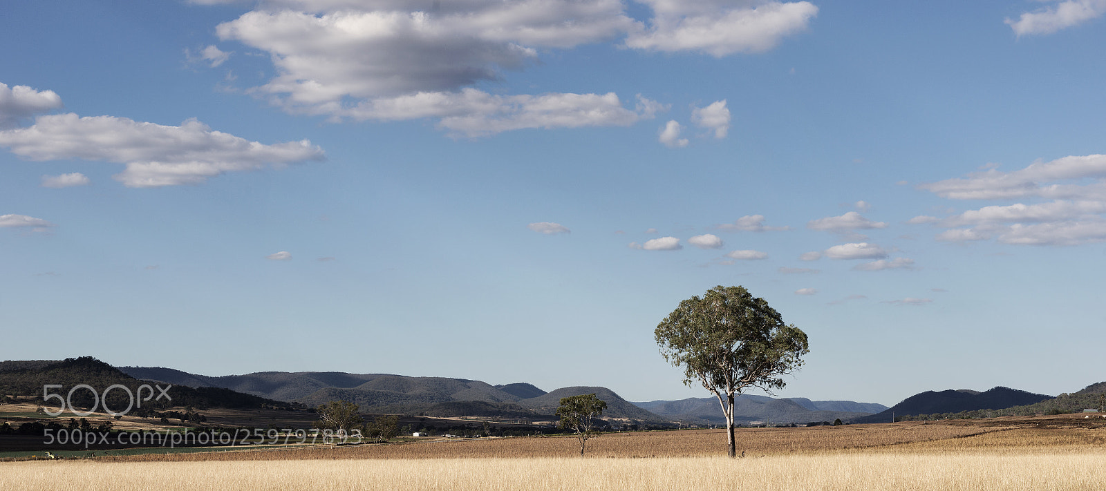 Nikon D800 sample photo. Country agricultural and farming photography