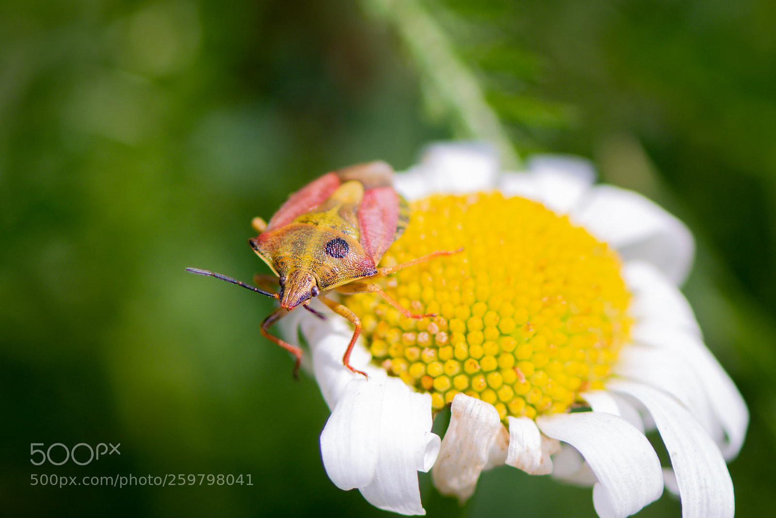 Nikon D810 sample photo. Bearbeitet photography