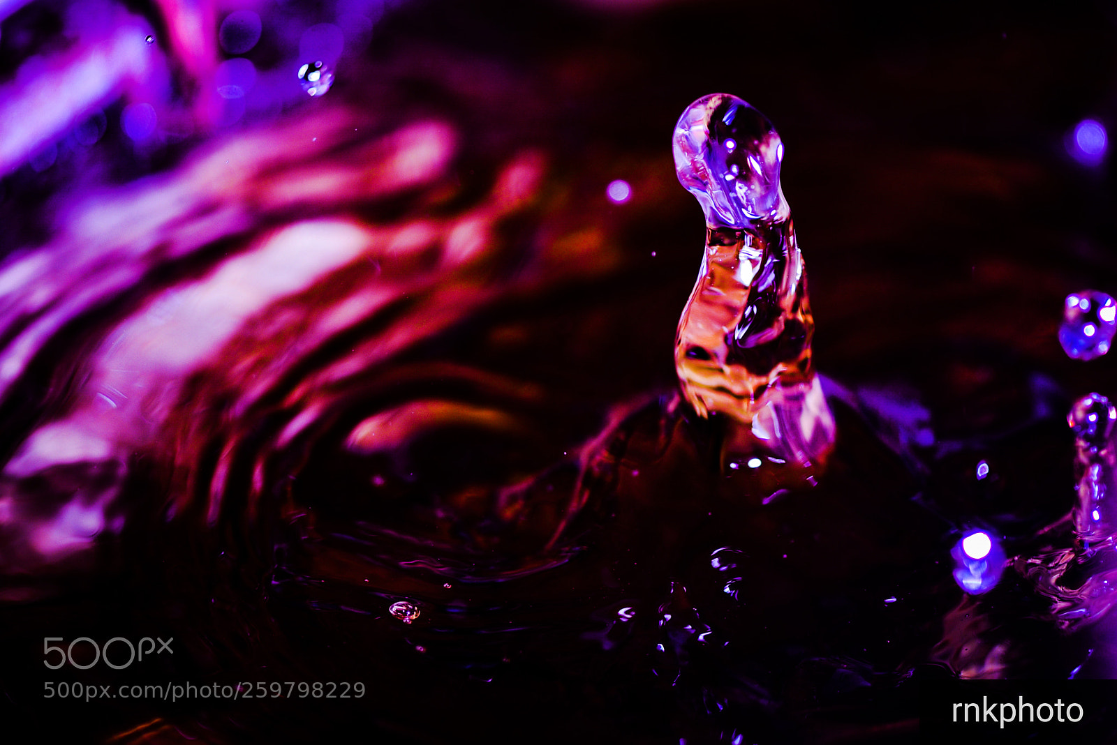 Nikon D750 sample photo. Drop let photography photography
