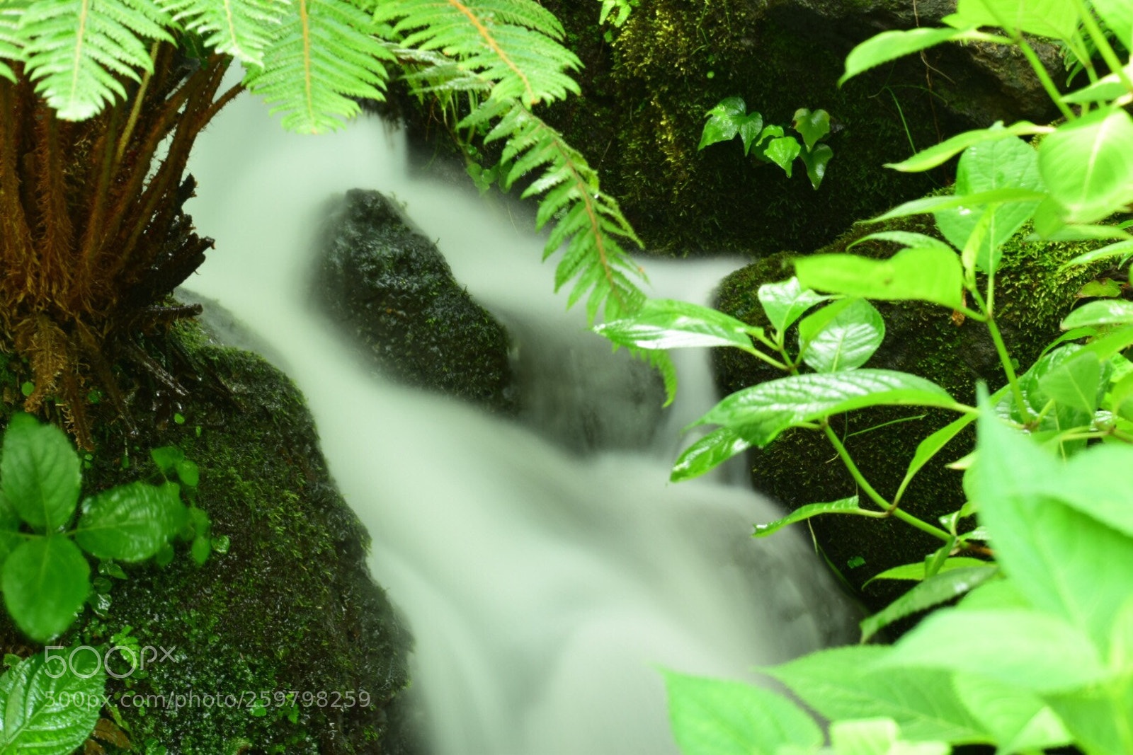 Nikon D5300 sample photo. Waterfall photography