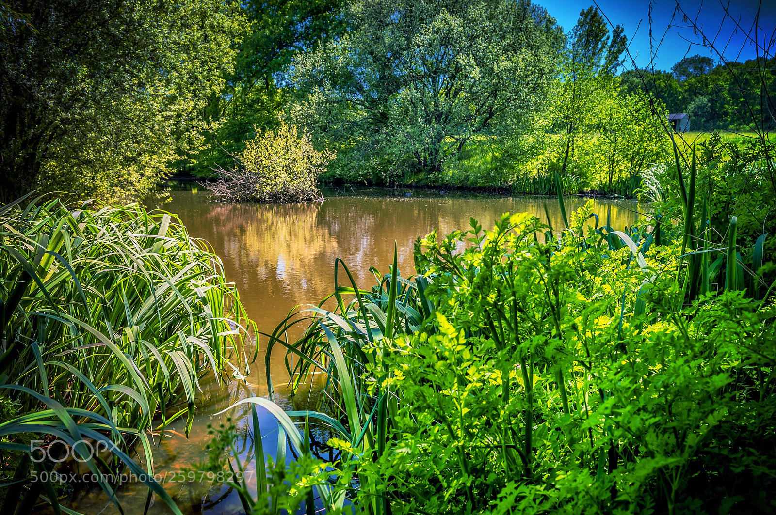 Nikon D800E sample photo. Stillness  photography