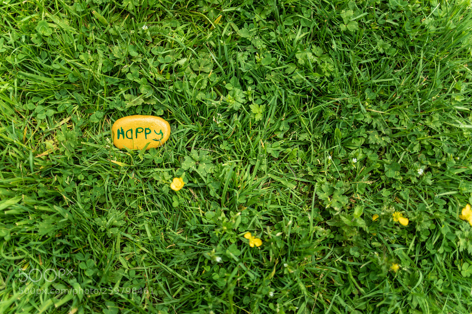 Canon EOS 5D Mark IV sample photo. Rocking all over the photography