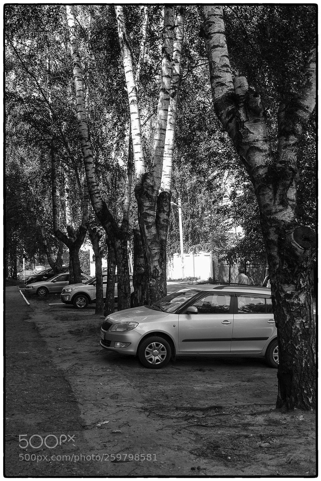 Canon EOS 5D sample photo. Посадки photography