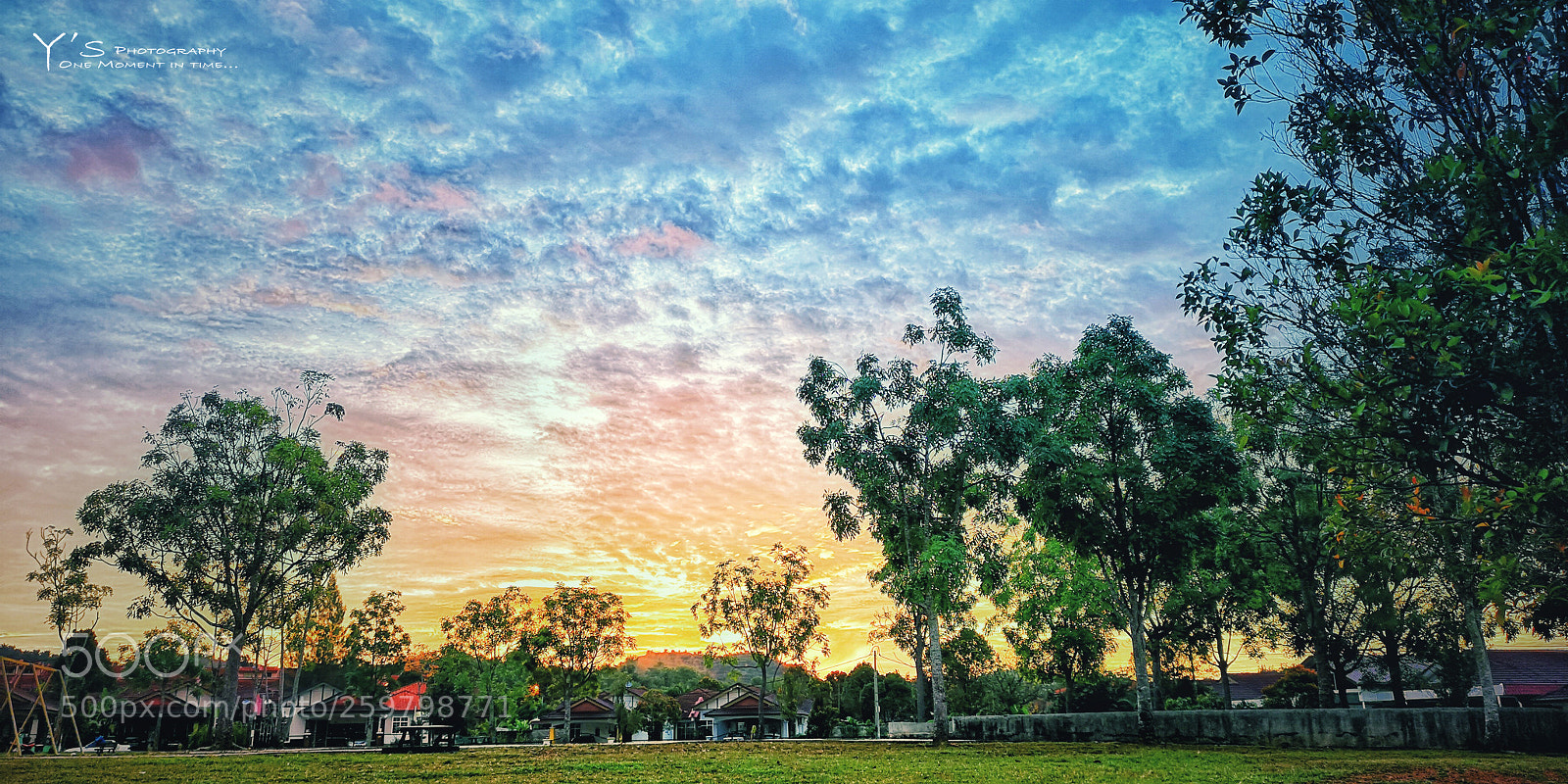 HUAWEI CLT-L29 sample photo. Morning. 晨。 photography