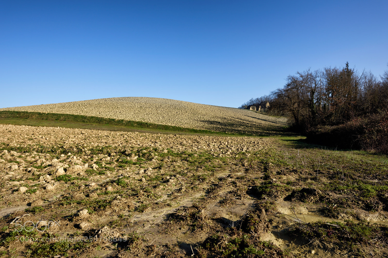 Nikon D810 sample photo. In sky and earth photography