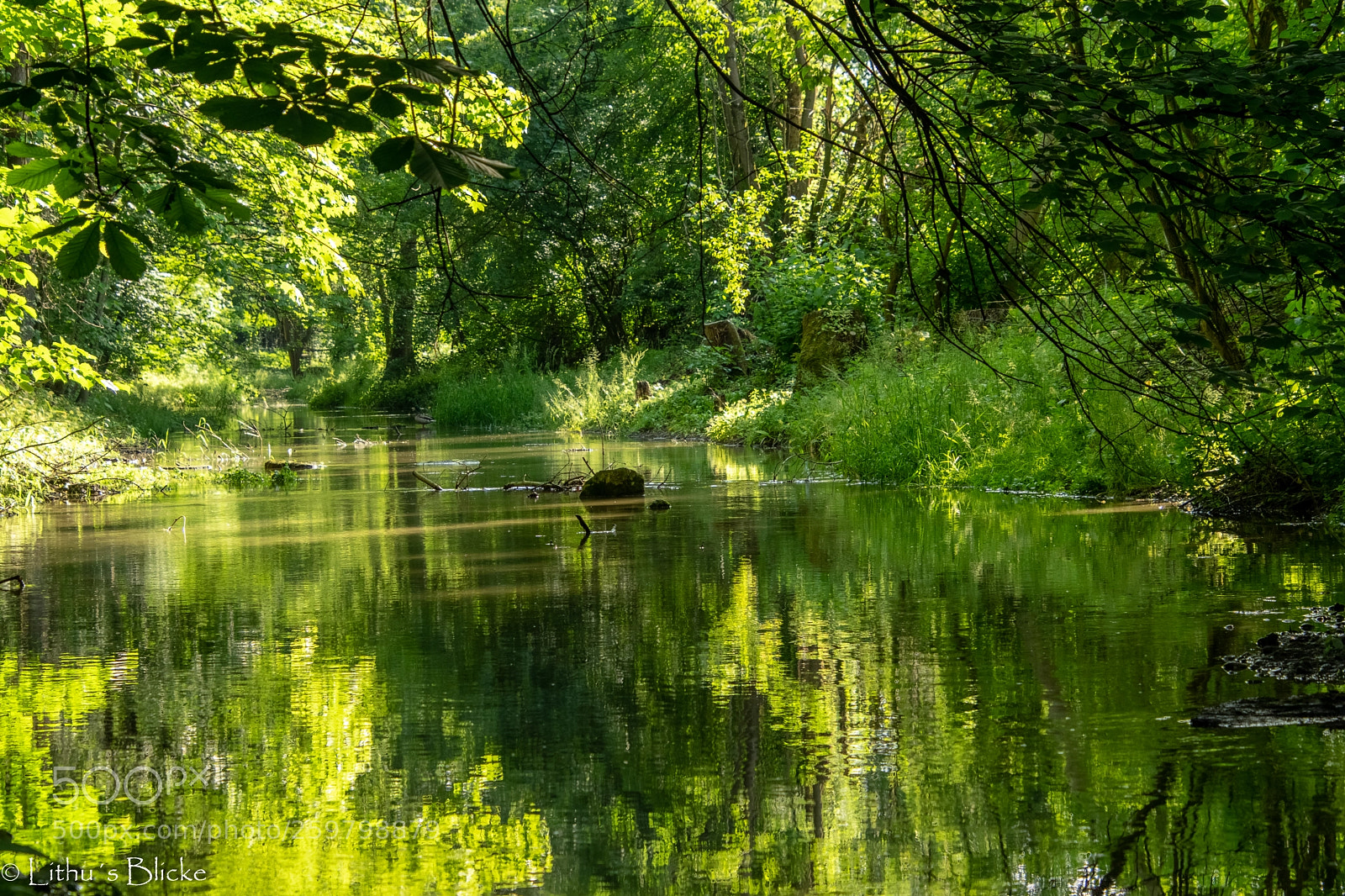 Nikon D5300 sample photo. Panholzerweg linz photography