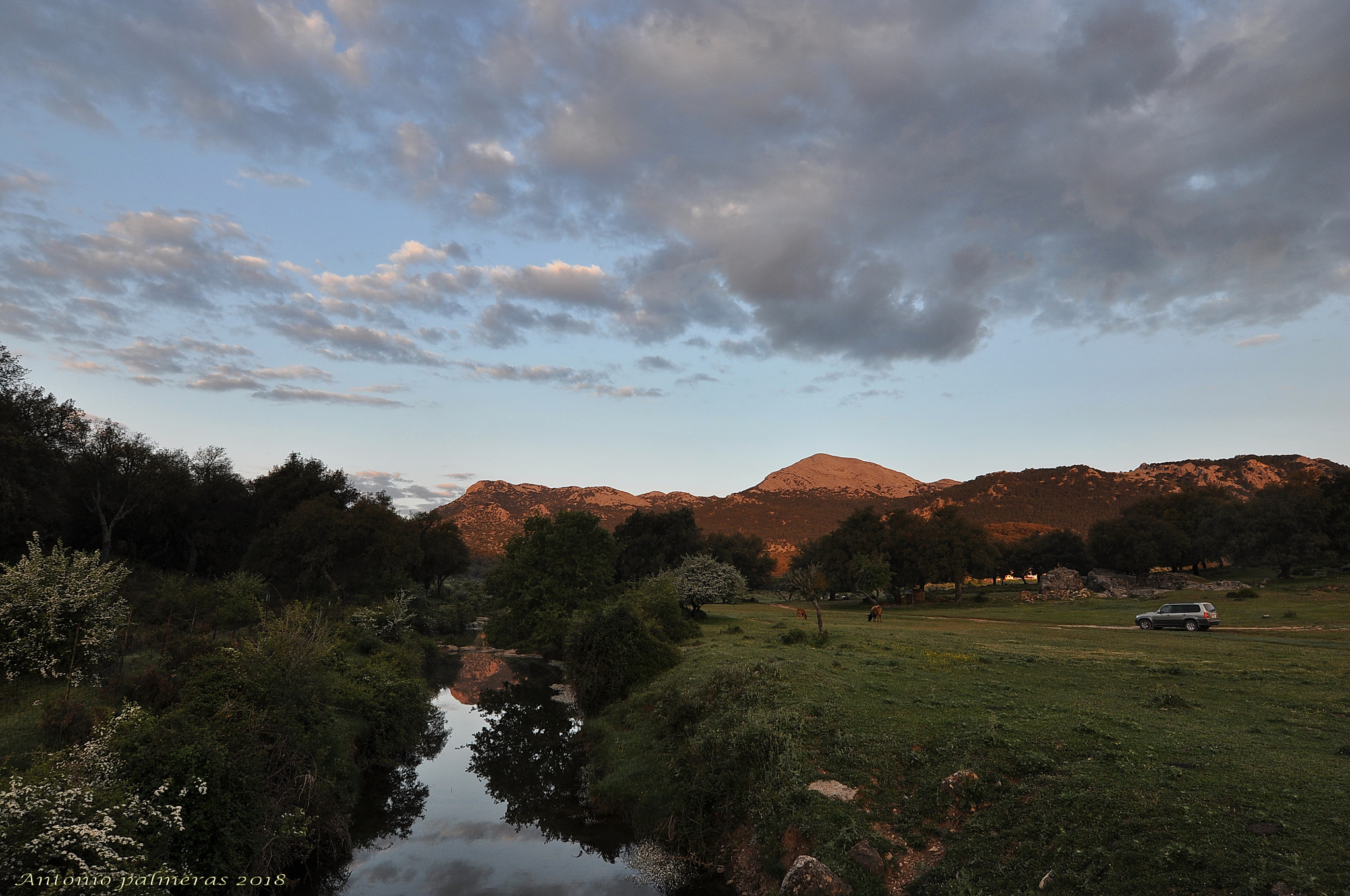 Nikon D90 sample photo. De camino photography