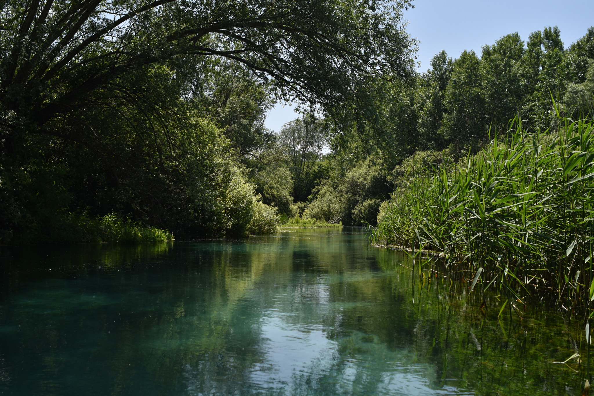 Nikon D5500 + AF Nikkor 28mm f/2.8 sample photo. Bussi sul tirino photography