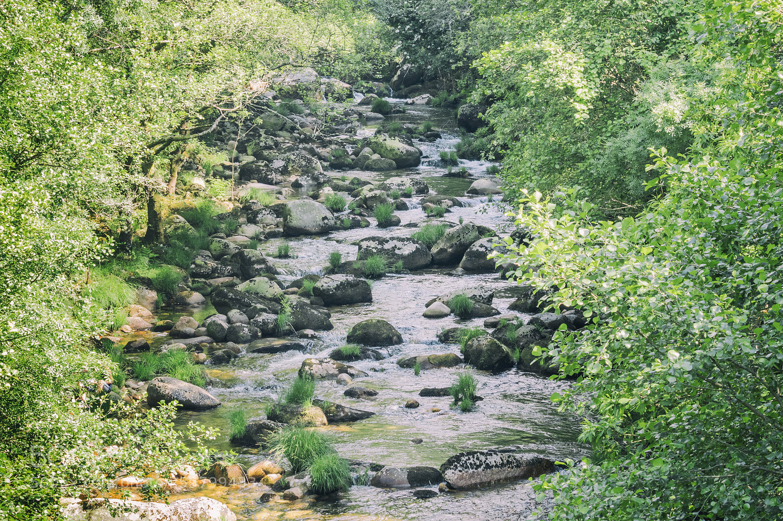 Canon EOS 77D (EOS 9000D / EOS 770D) sample photo. Sistelo river photography