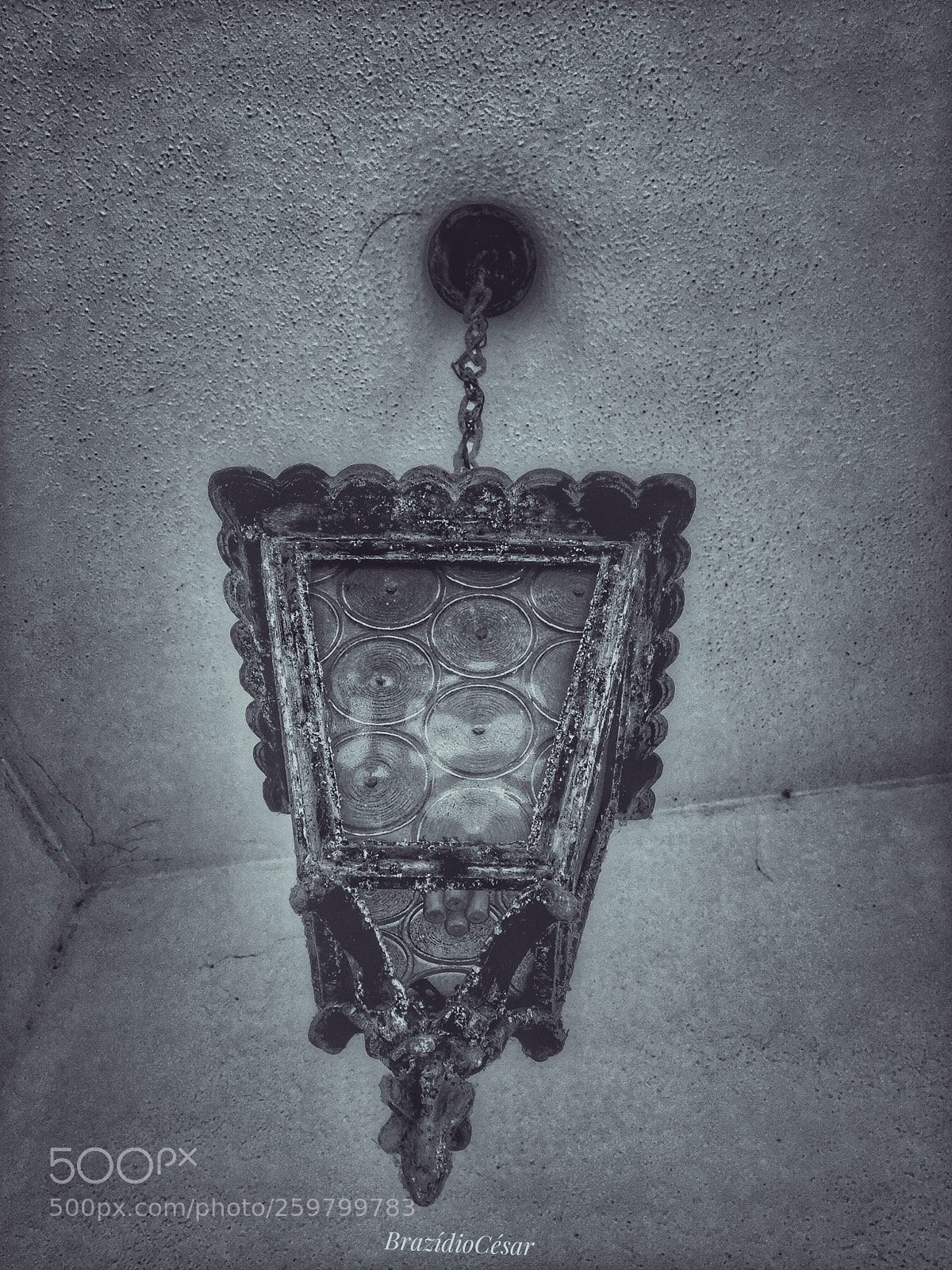 Apple iPhone 6s sample photo. Untitled photography