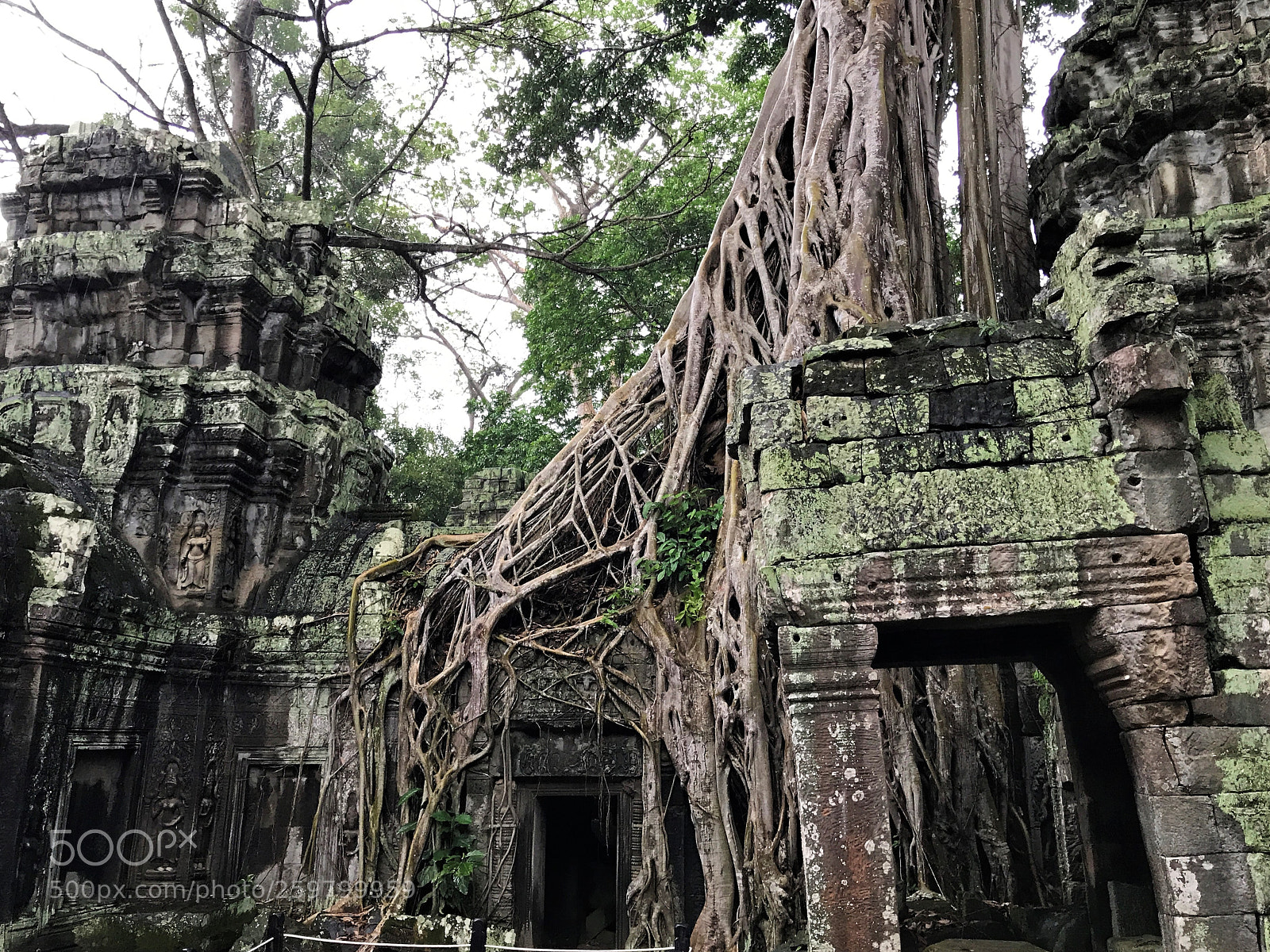 Apple iPhone 7 sample photo. Ta prohm photography