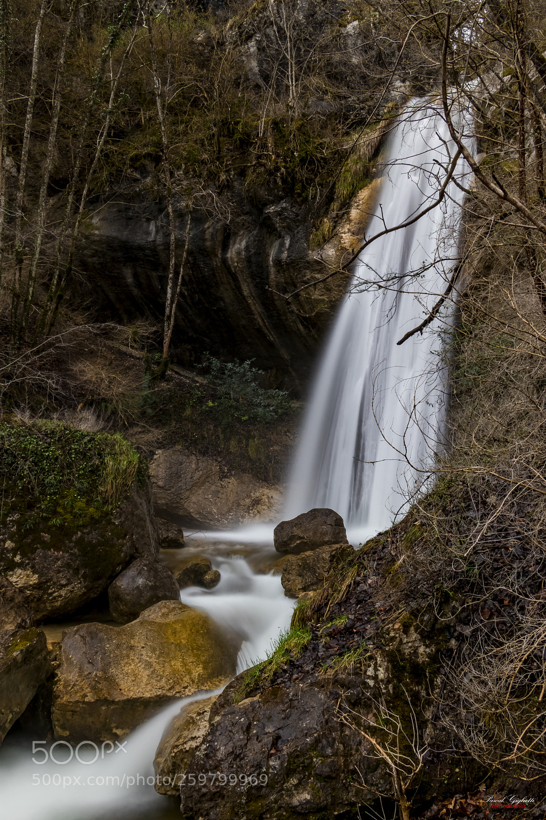 Canon EOS 80D sample photo. The fall photography