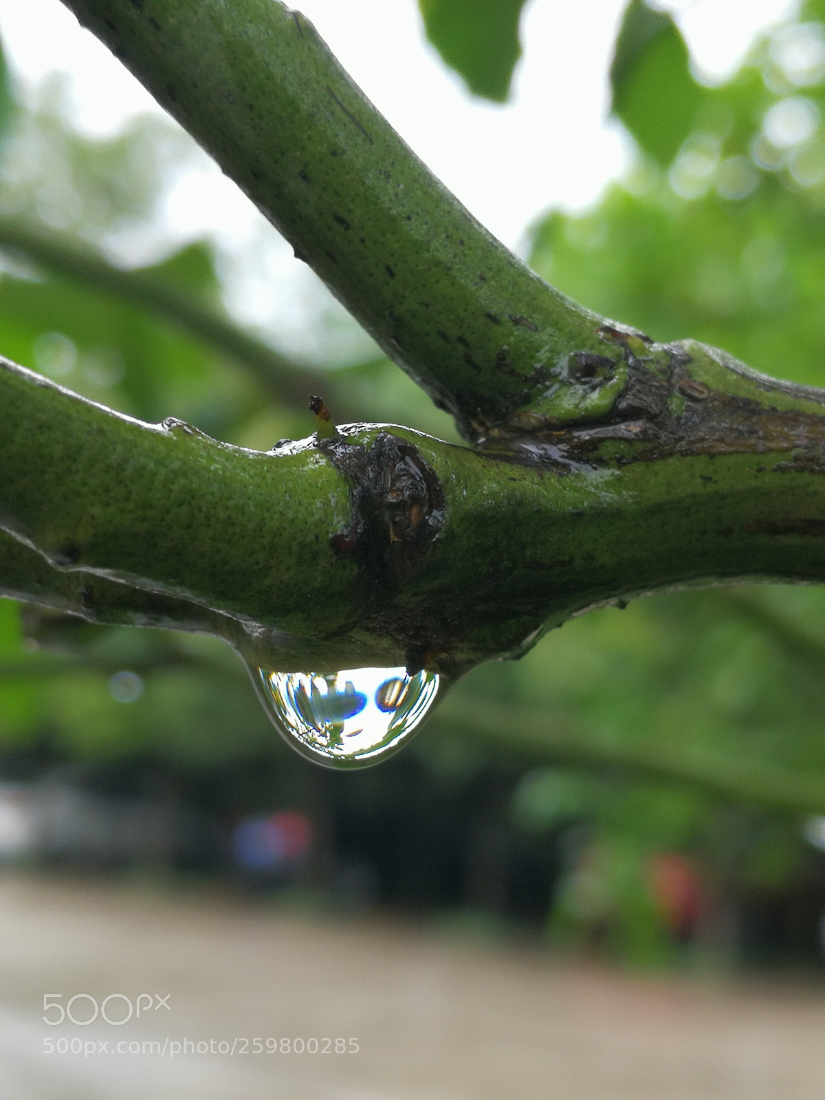 HUAWEI Mate 9 sample photo. Water photography
