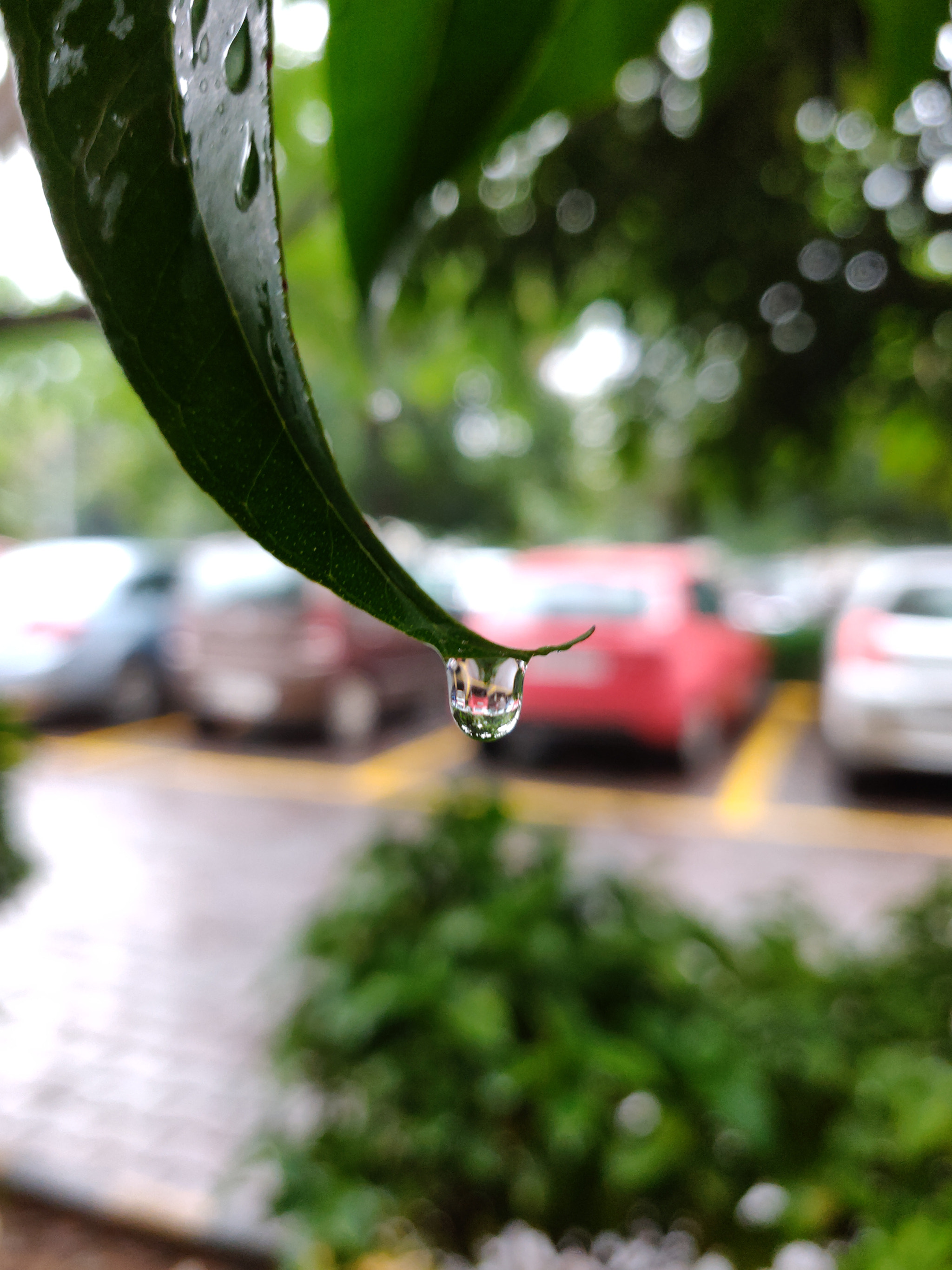 OnePlus A6000 sample photo