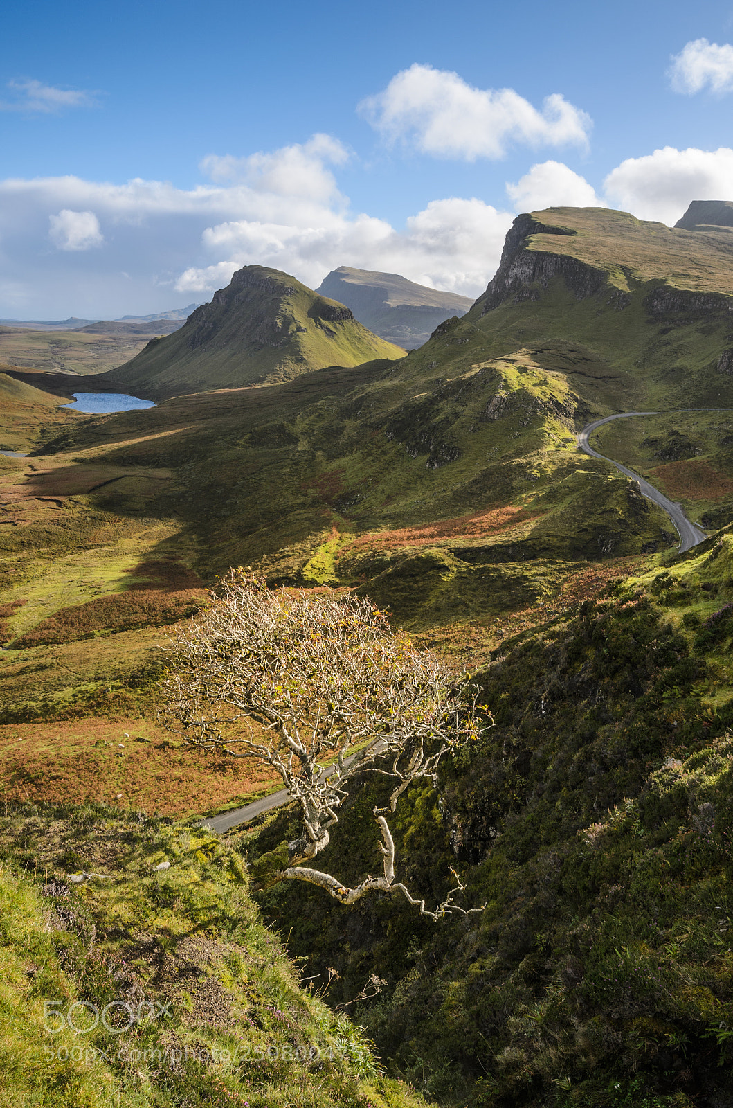 Nikon D5100 sample photo. Well-known quiraing tree photography