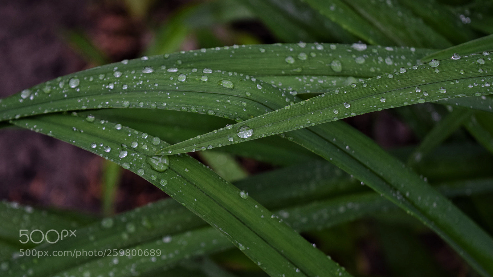 Nikon D5300 sample photo. Untitled photography