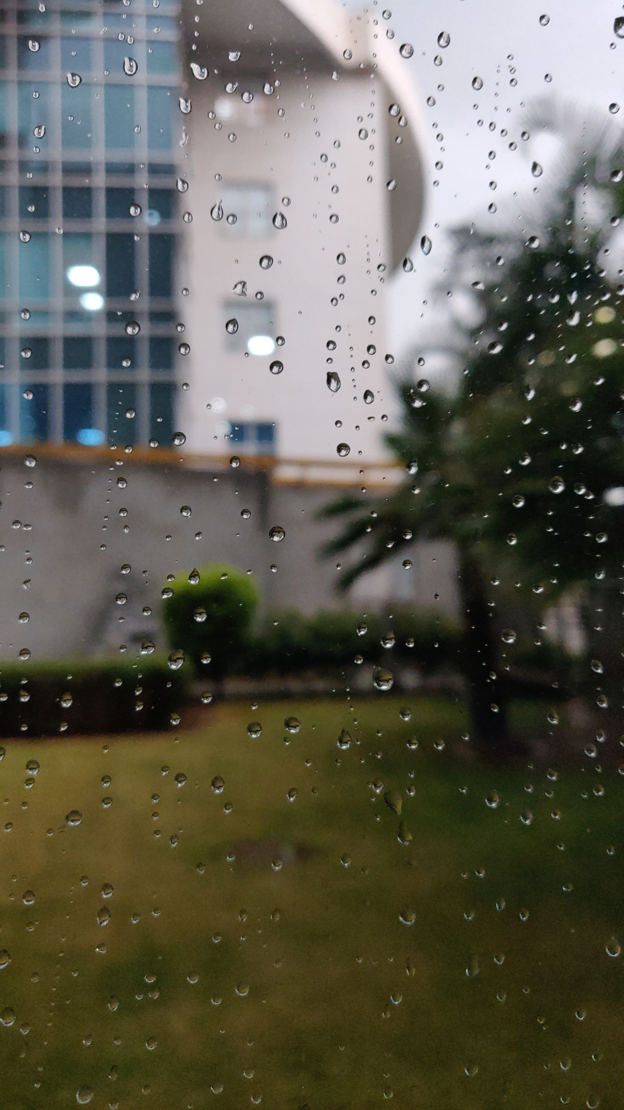 OnePlus A6000 sample photo