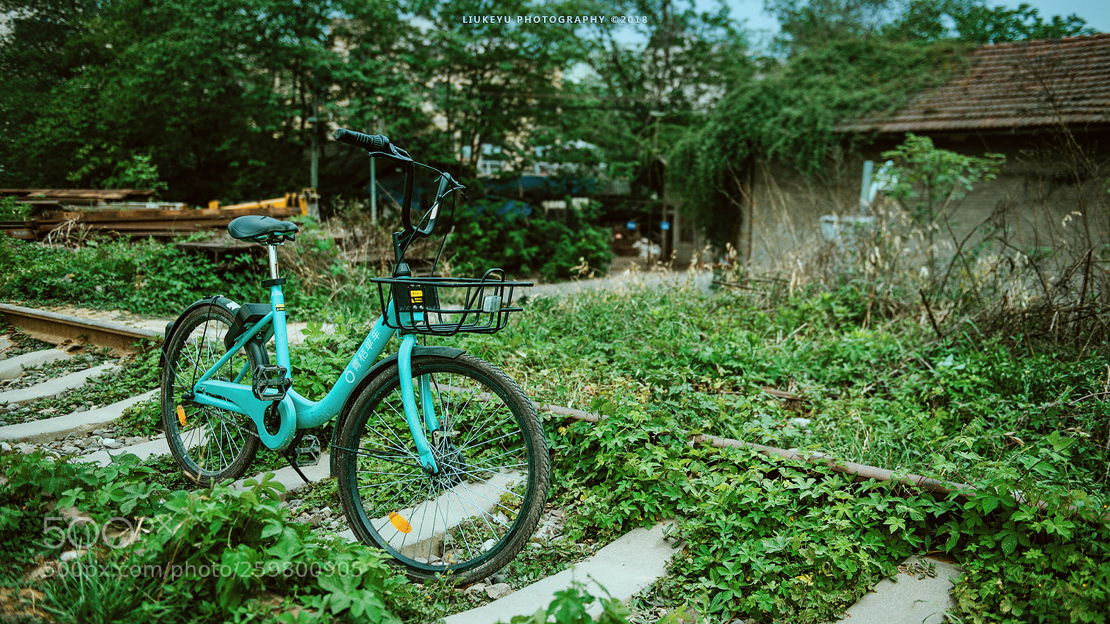 Nikon D700 sample photo. Bike photography