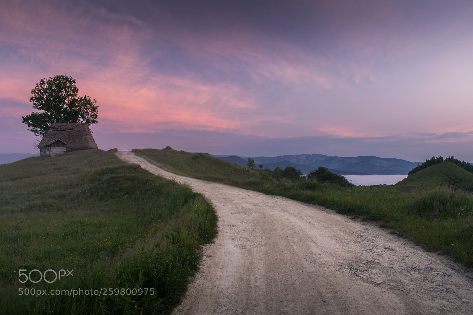 Nikon D3300 sample photo. Road to the dawn photography