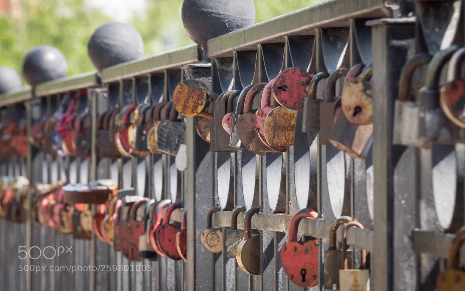 Sony SLT-A68 sample photo. Wedding locks photography